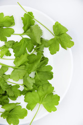 Similar image 21343768