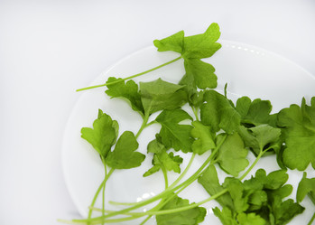 Similar image 21343771