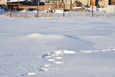 Similar image 21343528