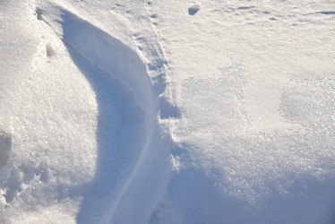 Similar image 21343529