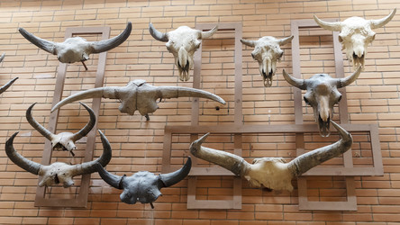 Similar image 21345536