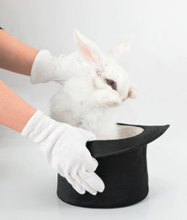 Similar image 21362631