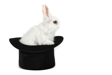 Similar image 21362605