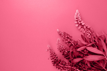 Similar image 21362644