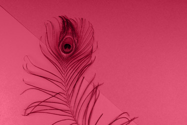 Similar image 21364220