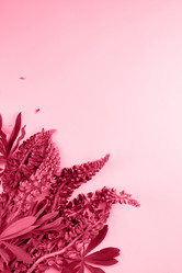 Similar image 21364221