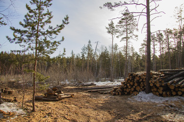 Similar image 21355315