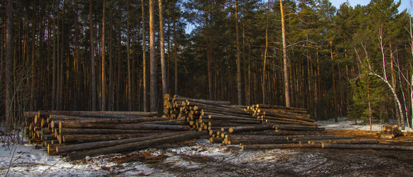 Similar image 21368963