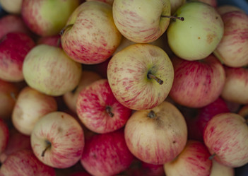 Similar image 21368967