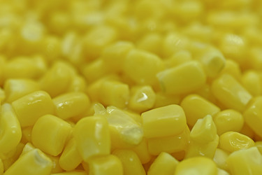 Similar image 21344118