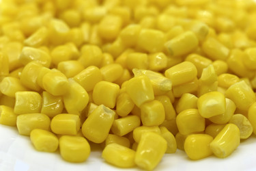 Similar image 21344119