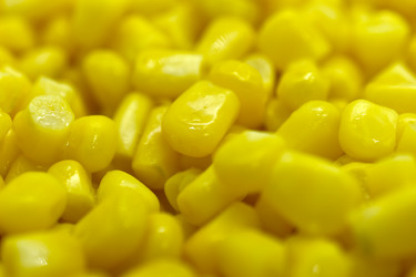 Similar image 21344120