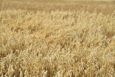 Similar image 21361773