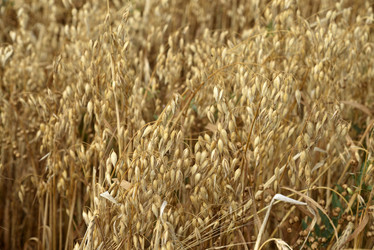 Similar image 21361774