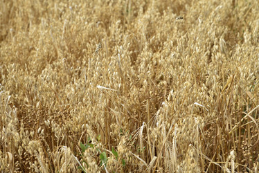 Similar image 21361775