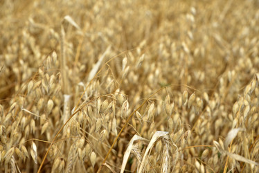 Similar image 21361776