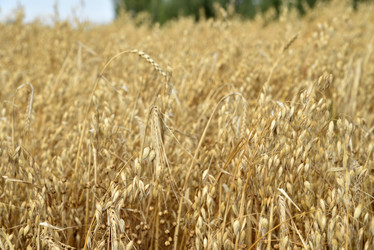 Similar image 21361777