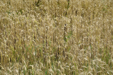 Similar image 21361779