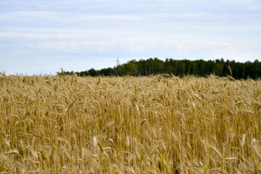 Similar image 21361782