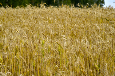 Similar image 21365995