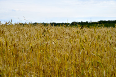 Similar image 21365998