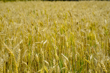 Similar image 21365999