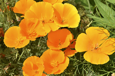 Similar image 21343544