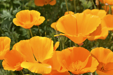 Similar image 21343545