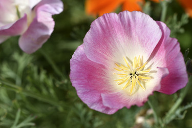 Similar image 21343546