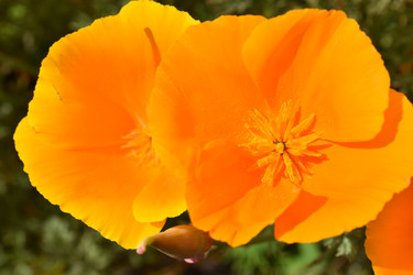 Similar image 21343547