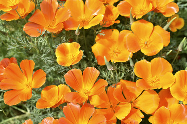 Similar image 21343548