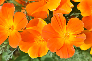 Similar image 21343549