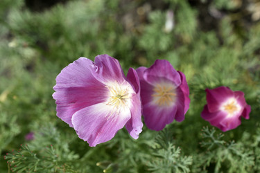 Similar image 21343551