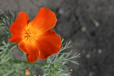 Similar image 21343775