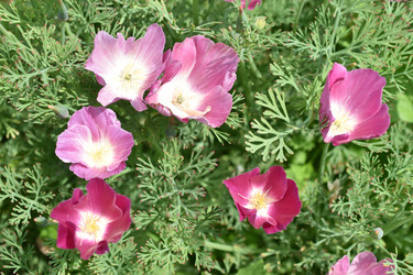 Similar image 21343776