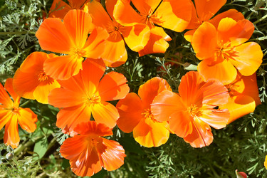 Similar image 21343777