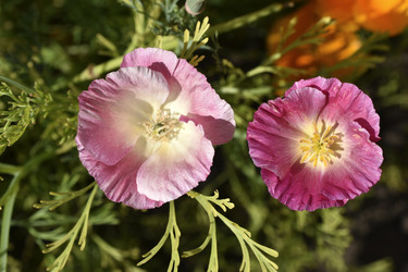 Similar image 21343778