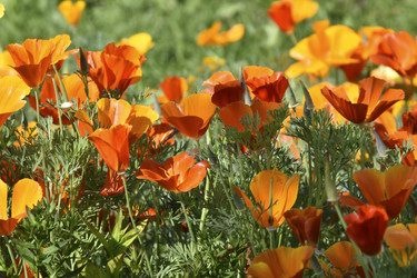 Similar image 21343780