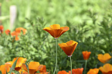 Similar image 21343781