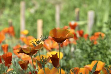 Similar image 21343782