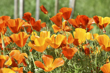 Similar image 21343783