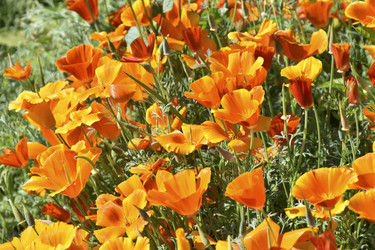 Similar image 21344123