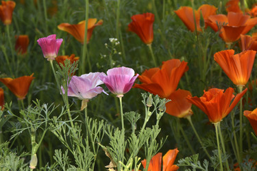 Similar image 21344124