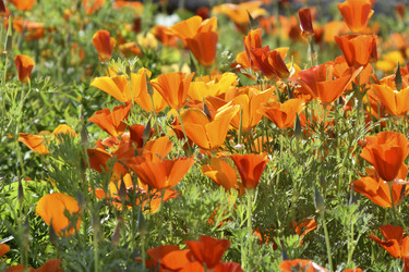 Similar image 21344125