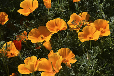 Similar image 21344126