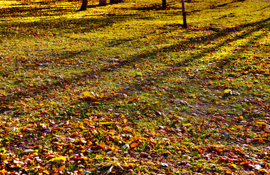 Similar image 21368970