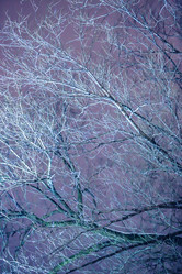 Similar image 21370862