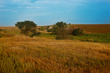 Similar image 21370864