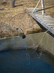 Similar image 21371080