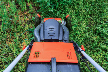 Similar image 21350043